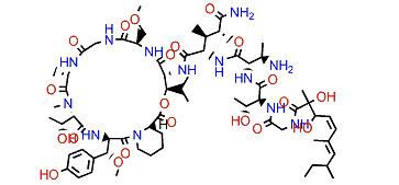 Papuamide A